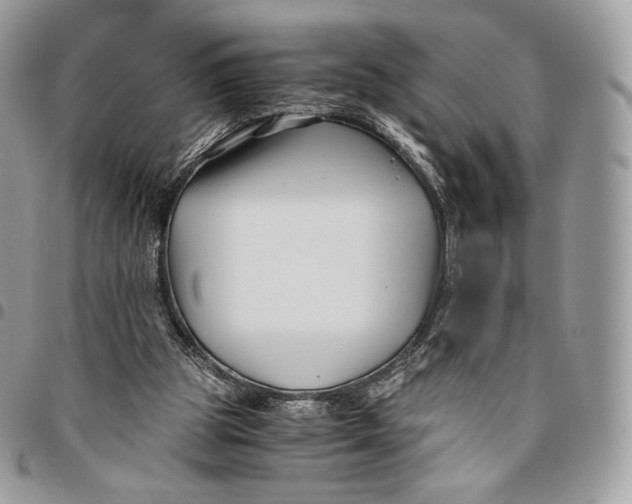 X0000096160153200802081442