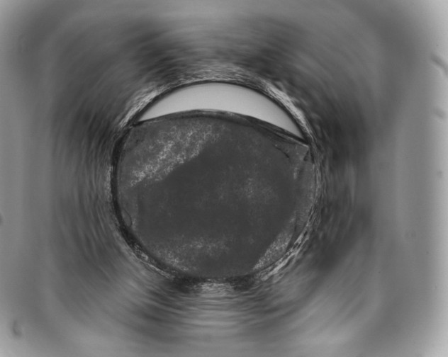 X0000096160154200802081442