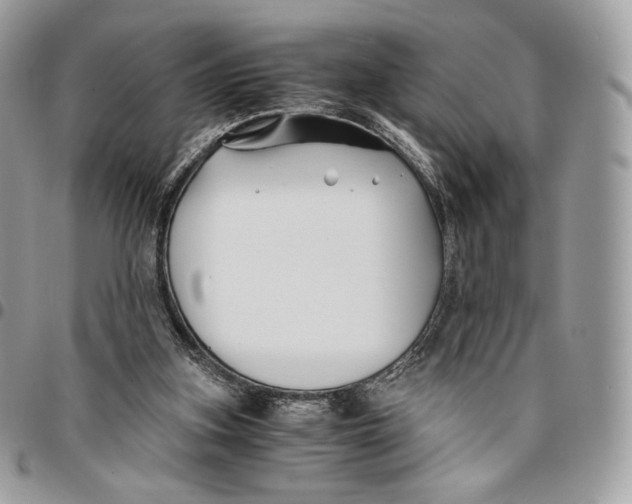 X0000096160155200802081442