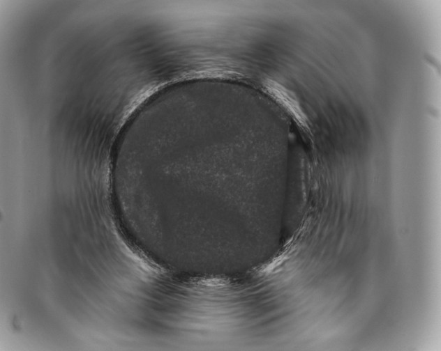 X0000096160156200802081442