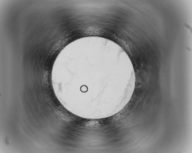 X0000096160162200802081442