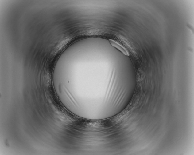 X0000096160164200802081442