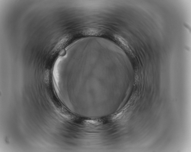 X0000096160167200802081442