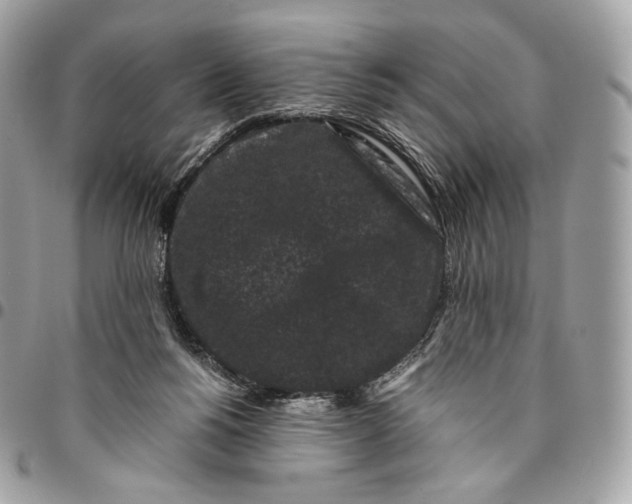 X0000096160168200802081442