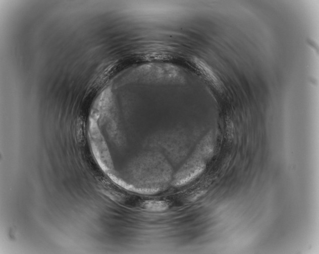 X0000096160169200802081442