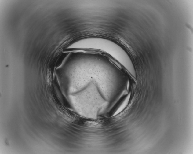 X0000096160170200802081442