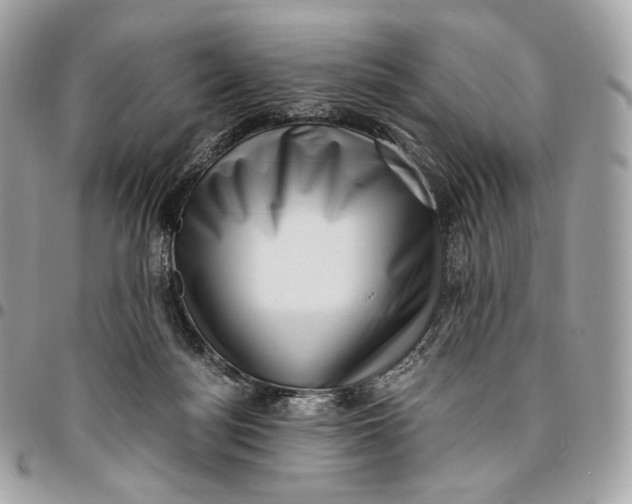 X0000096160172200802081442