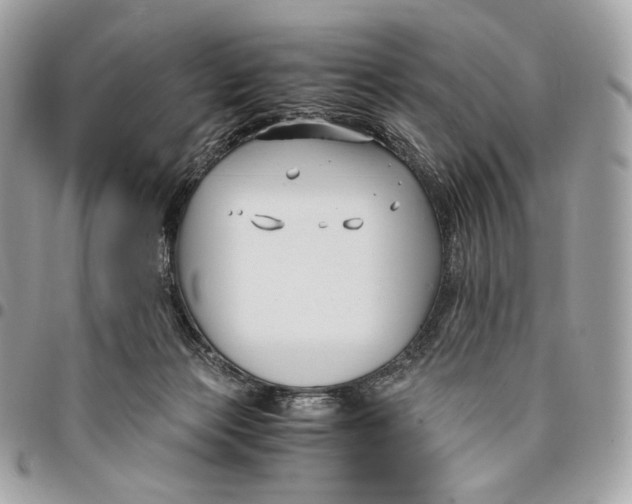 X0000096160173200802081442