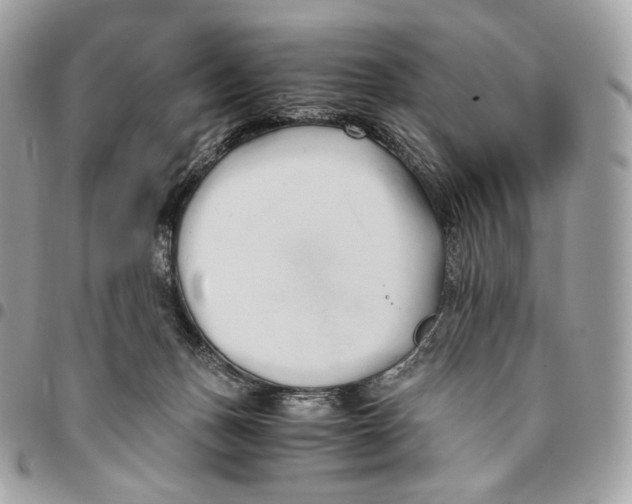 X0000096160175200802081442