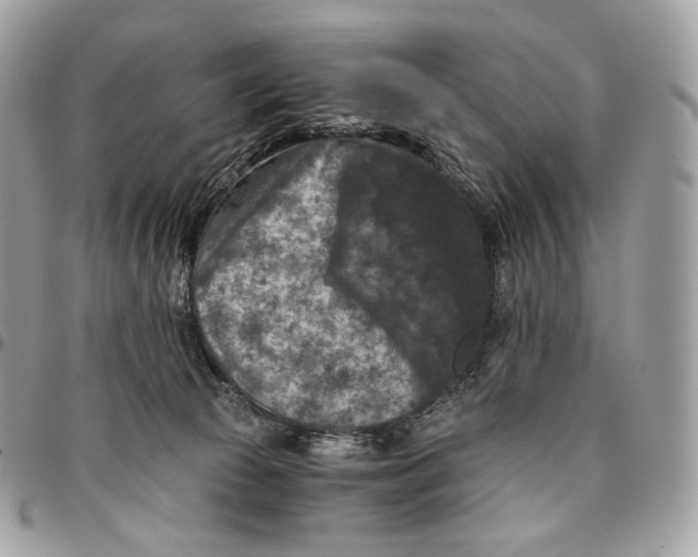 X0000096160177200802081442