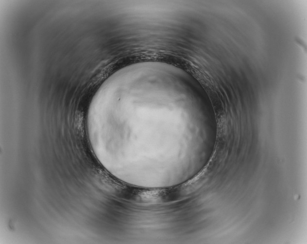 X0000096160178200802081442