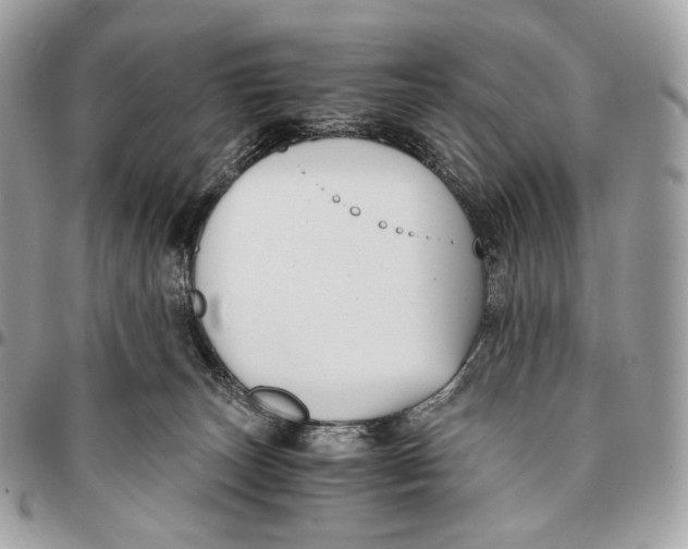 X0000096160179200802081442