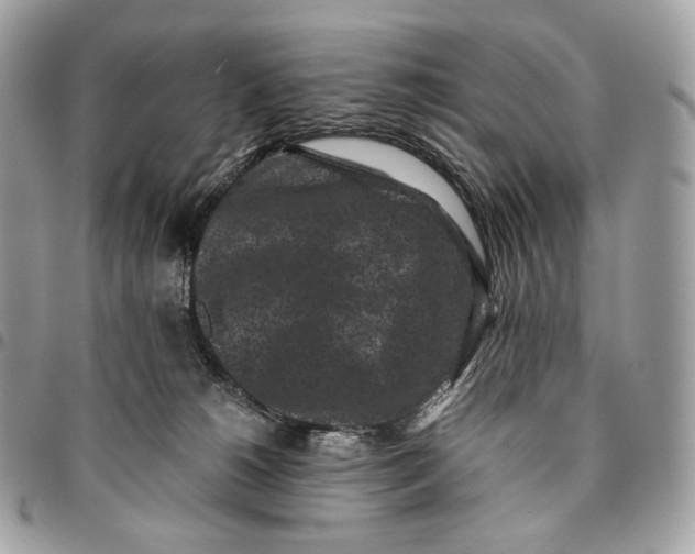 X0000096160180200802081442