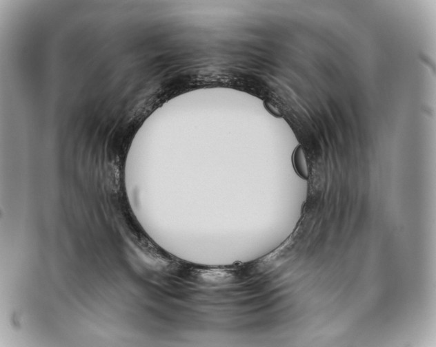 X0000096160183200802081442