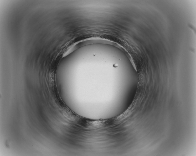 X0000096160184200802081442