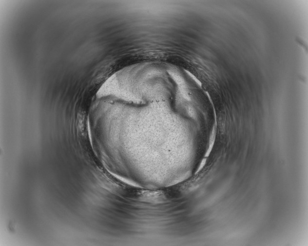 X0000096160185200802081442