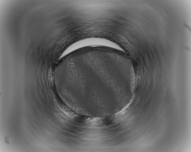 X0000096160186200802081442