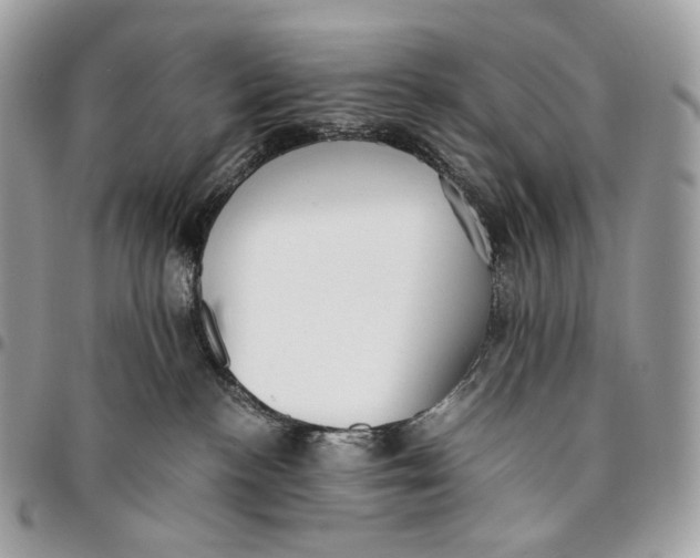 X0000096160188200802081442