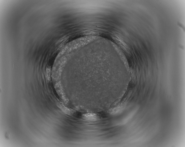 X0000096160189200802081442