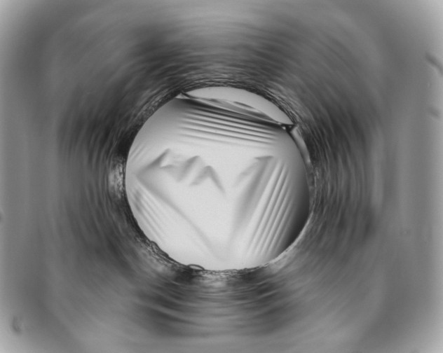 X0000096160190200802081442