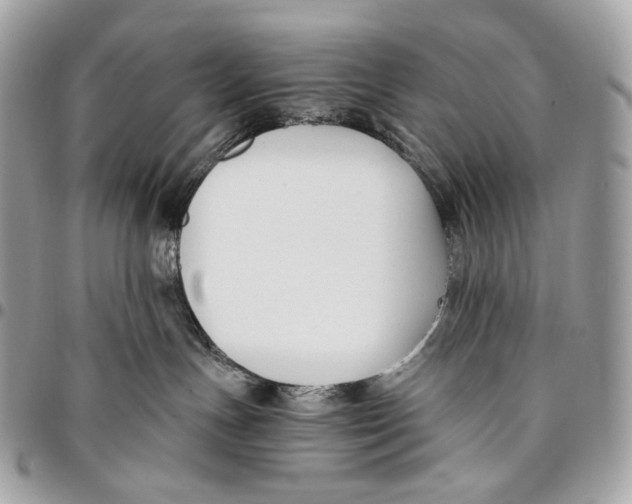 X0000096160191200802081442