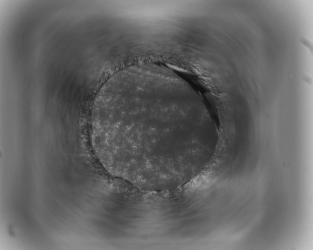 X0000096160192200802081442