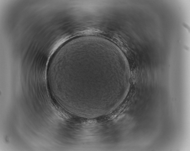 X0000096160196200802081442