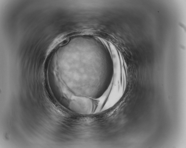 X0000096160198200802081442