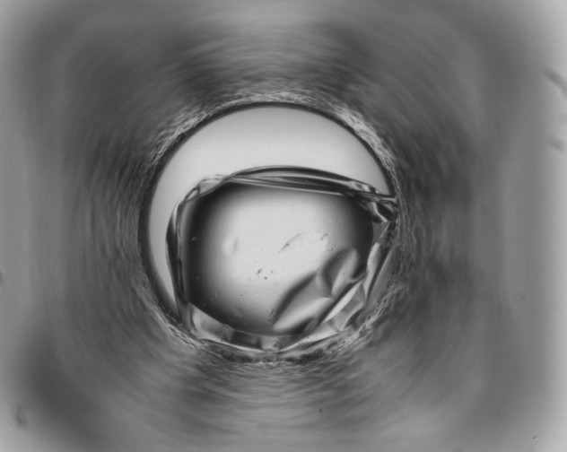 X0000096160201200802081441