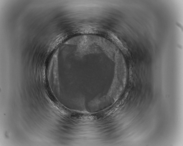 X0000096160202200802081441