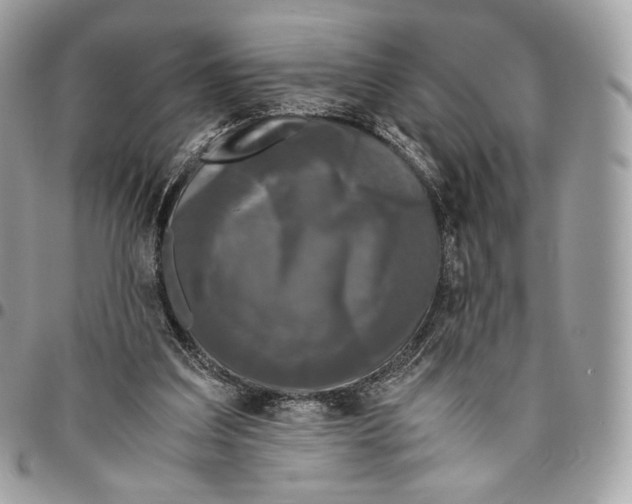 X0000096160203200802081441