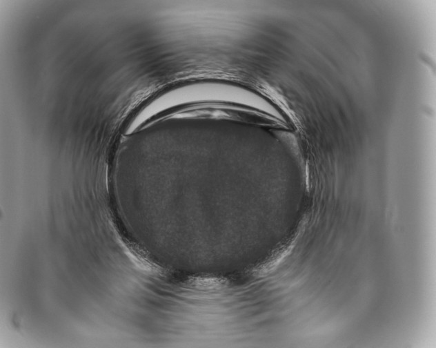 X0000096160205200802081441