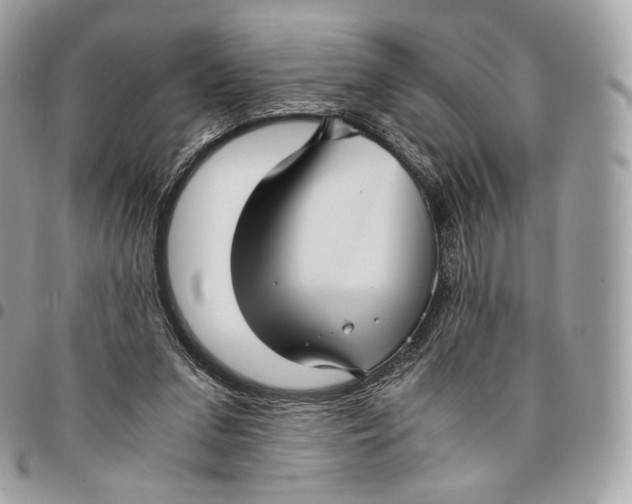 X0000096160207200802081441