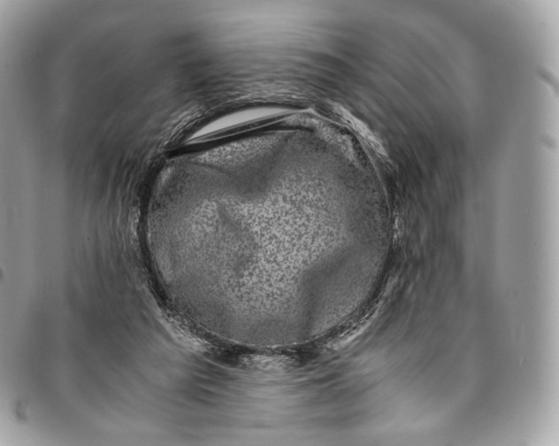 X0000096160209200802081441