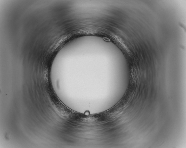 X0000096160212200802081441