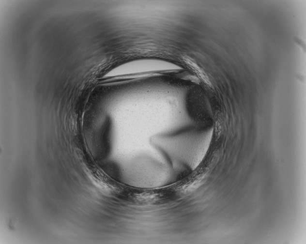 X0000096160213200802081441