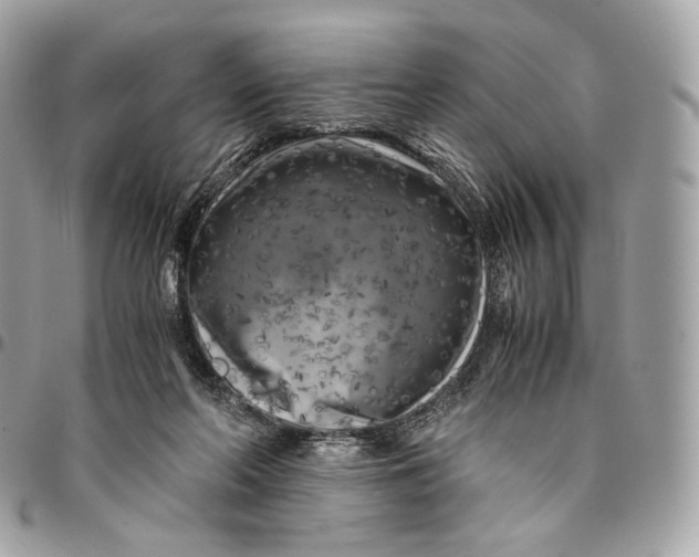 X0000096160214200802081441