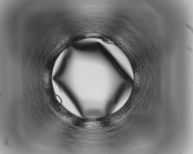 X0000096160215200802081441