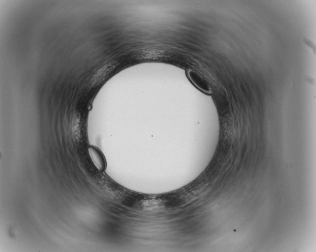 X0000096160216200802081441