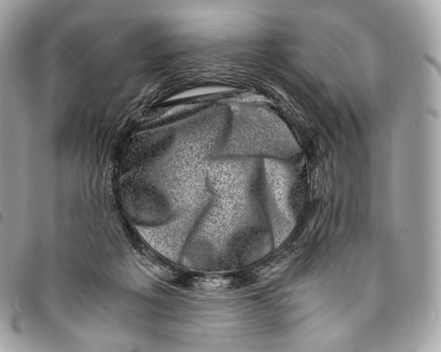 X0000096160217200802081441