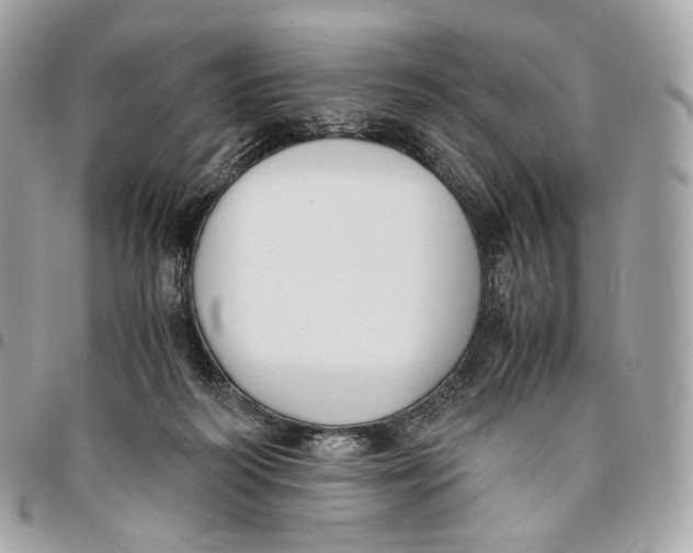 X0000096160218200802081441