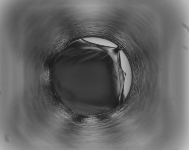 X0000096160219200802081441