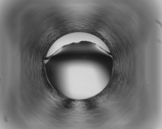 X0000096160221200802081441