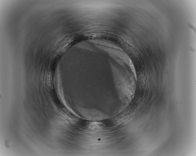 X0000096160222200802081441