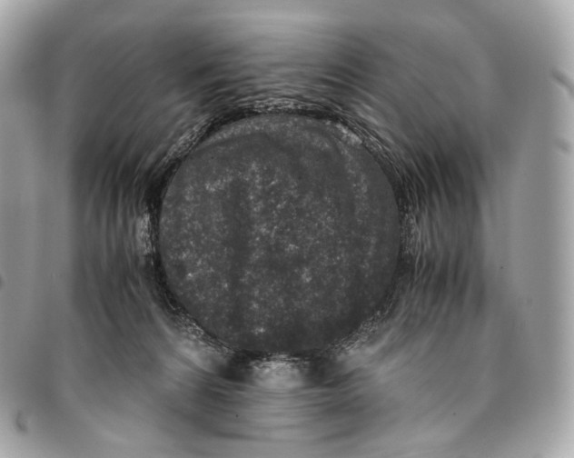 X0000096160224200802081441