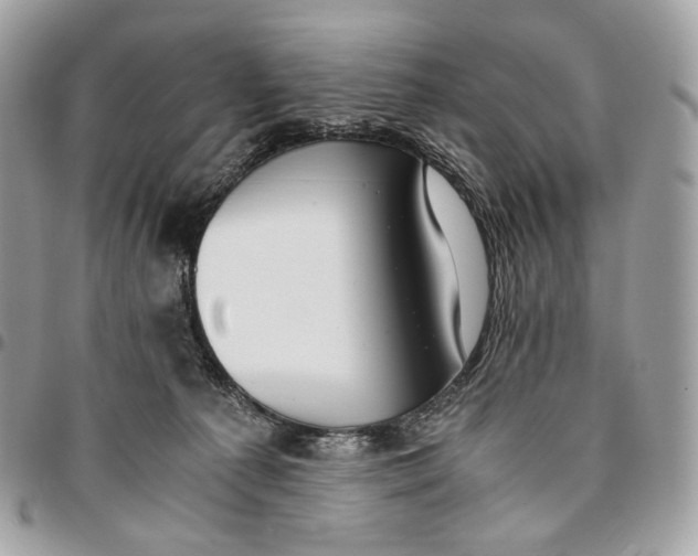 X0000096160225200802081441