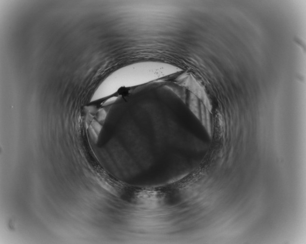 X0000096160227200802081441