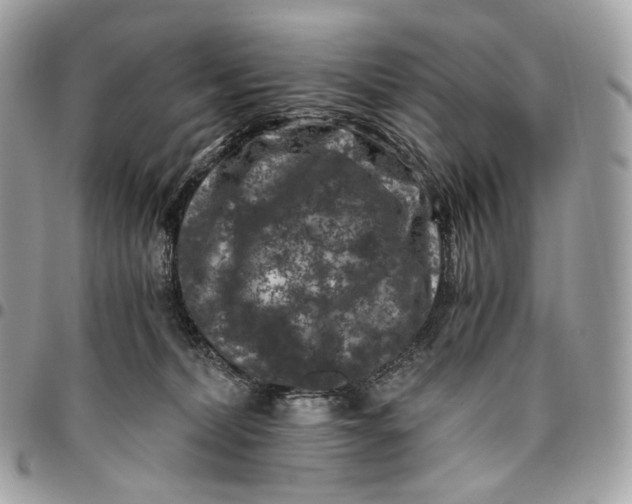 X0000096160228200802081441