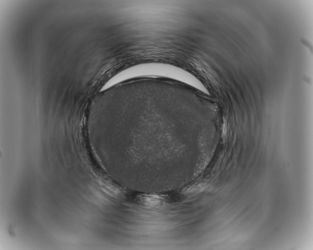 X0000096160229200802081441