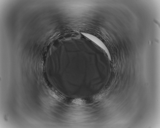 X0000096160231200802081441